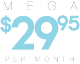 Mega - $29.95 per month