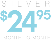 Silver - $24.95 month to month